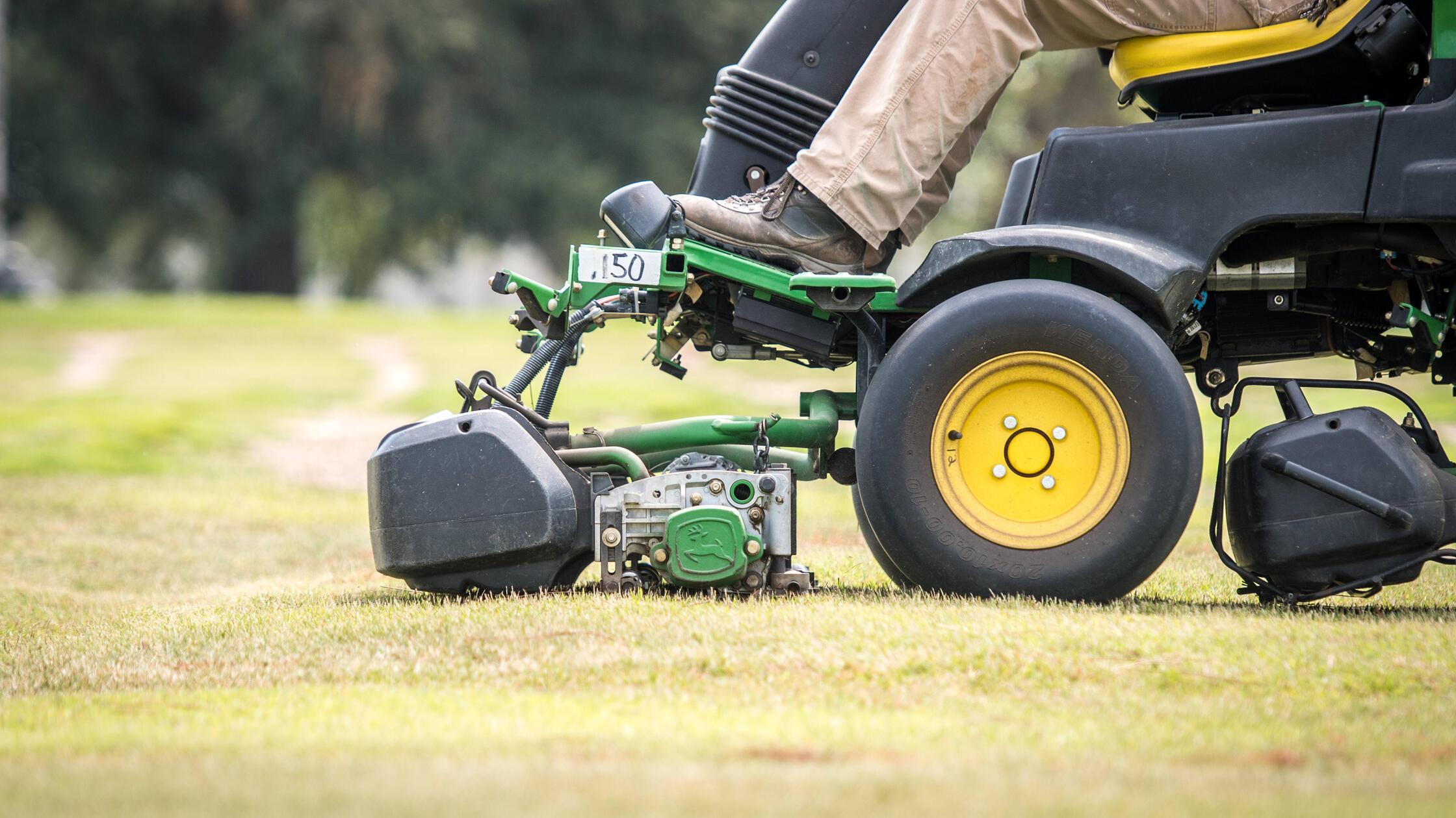 Man using ride lawn mower to cut turf grass, Tifto