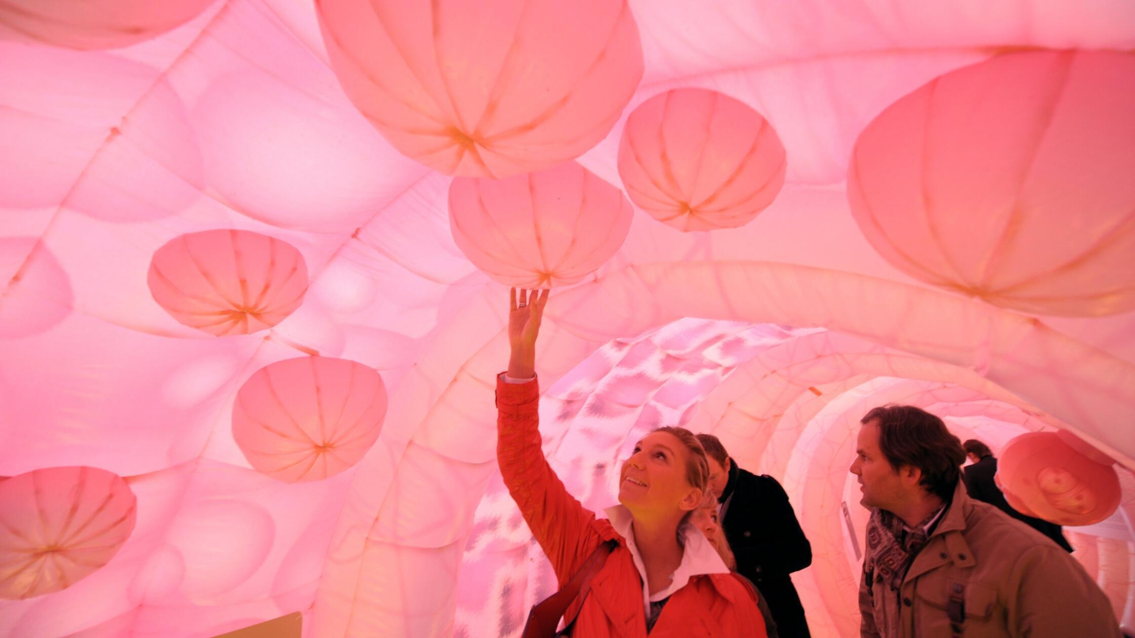 Darmkrebs, Morbus Crohn, Polypen? Krankheitsbilder