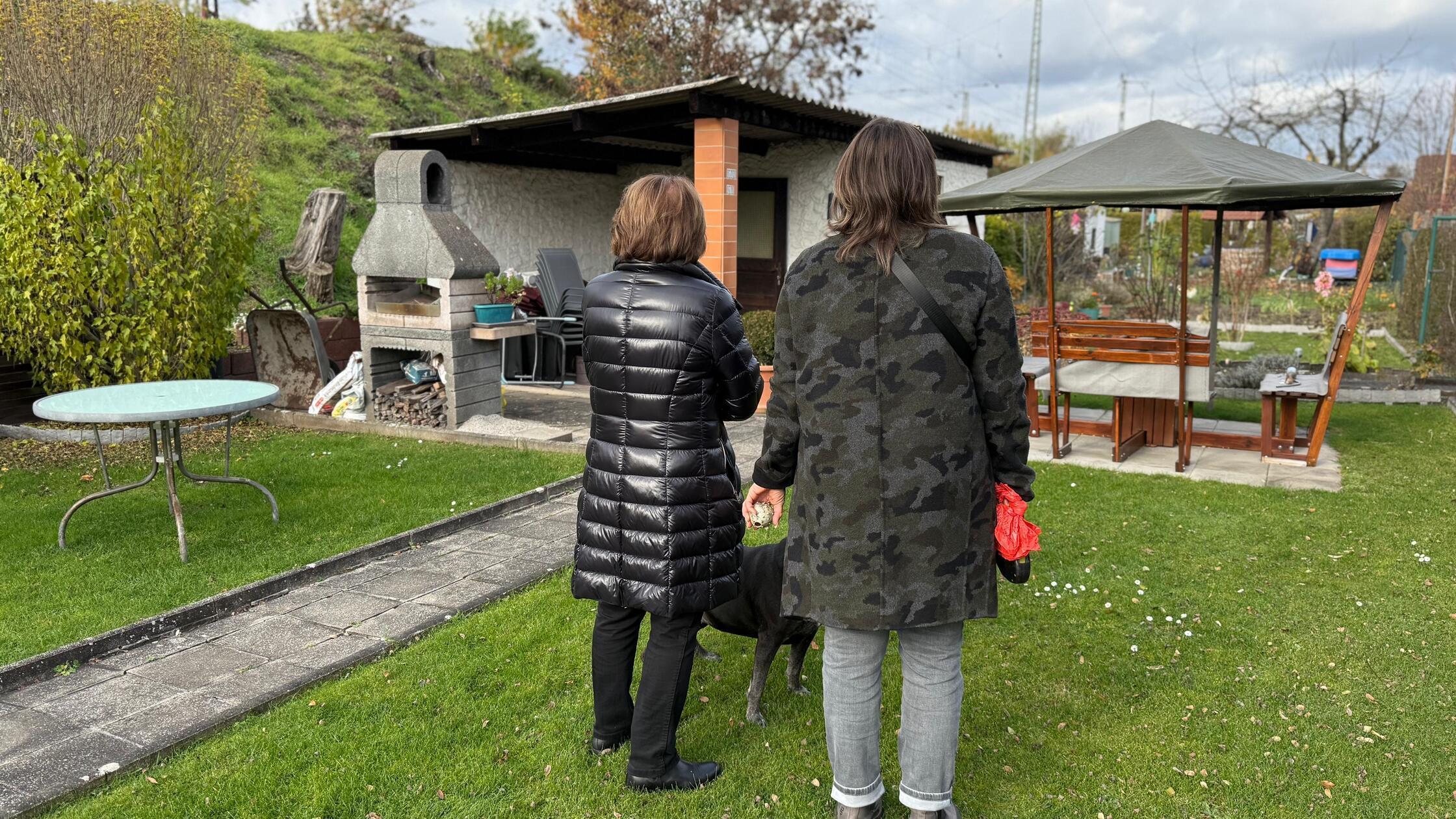 WhatsApp Image 2025-11-11 at 14.13