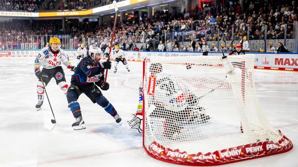 Nürnberg Ice Tigers - Fischtown Pinguins