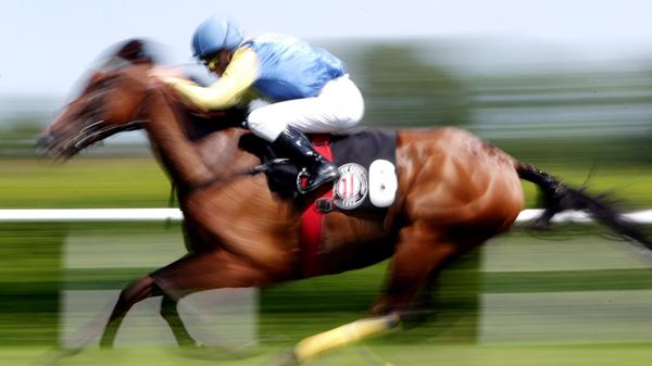 ARCHIV - 07.07.2013, Hamburg: Ein Rennpferd auf ei