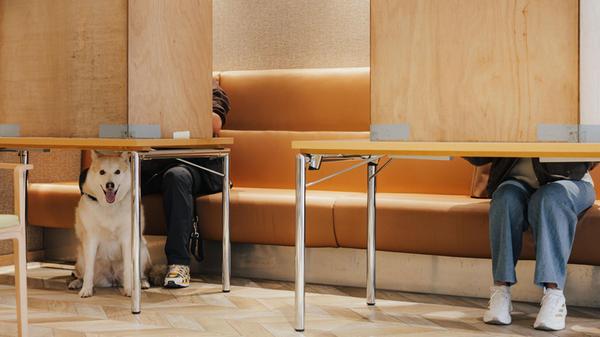 20260308_gi_Wahllokale_N4A8499