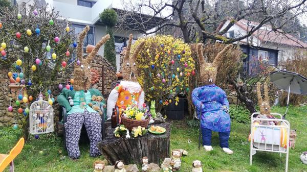 Die Hasenfamilie in Tyrolsberg hat unsere Leserin Rosy Treu fotografiert.