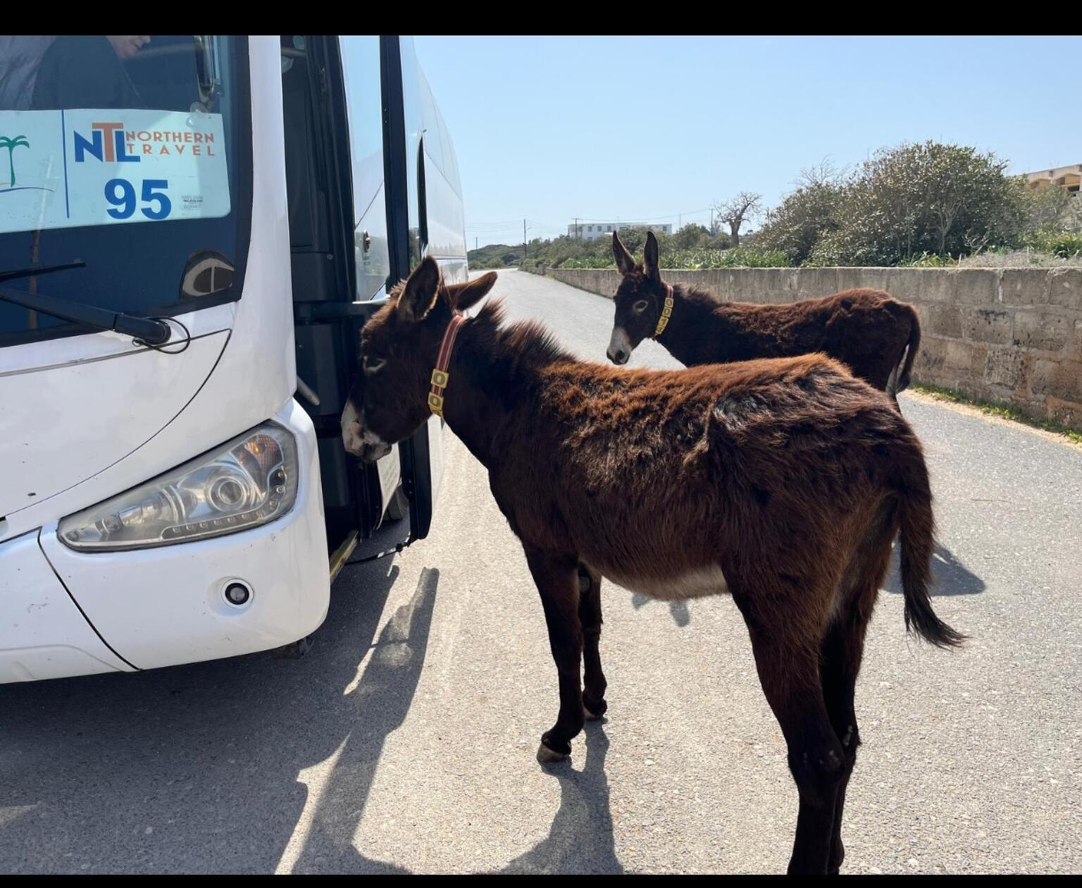 "Umsteigen ohne Fahrschein" hat unsere Leserin Christa Endres ihr Bild genannt.