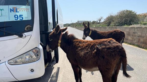 "Umsteigen ohne Fahrschein" hat unsere Leserin Christa Endres ihr Bild genannt.