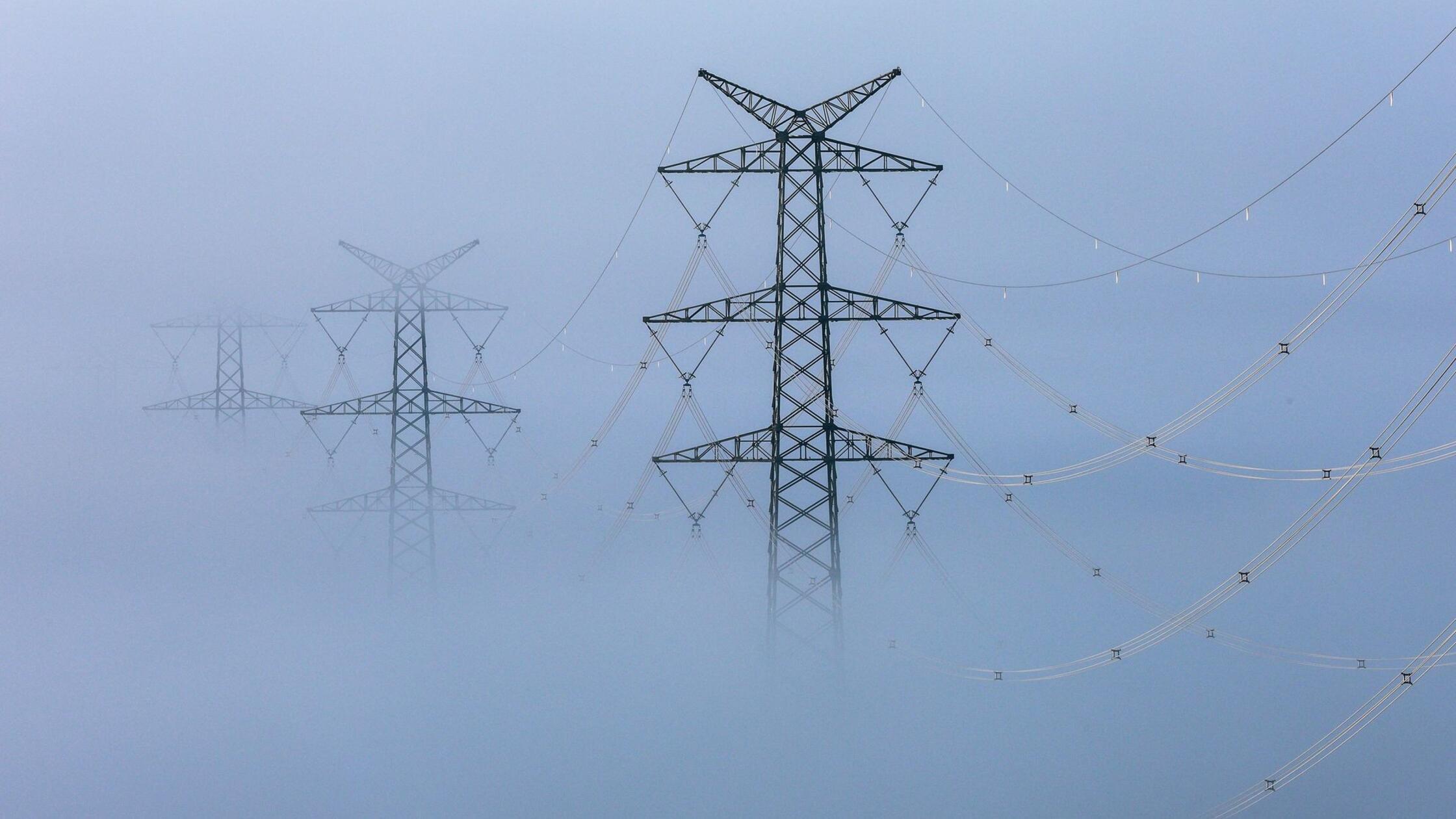 urn:newsml:dpa.com:20090101:250424-935-547262