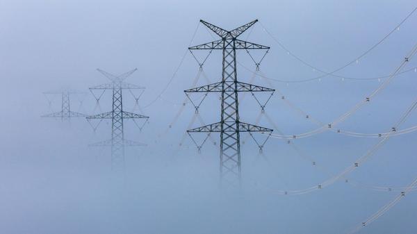 urn:newsml:dpa.com:20090101:250424-935-547262