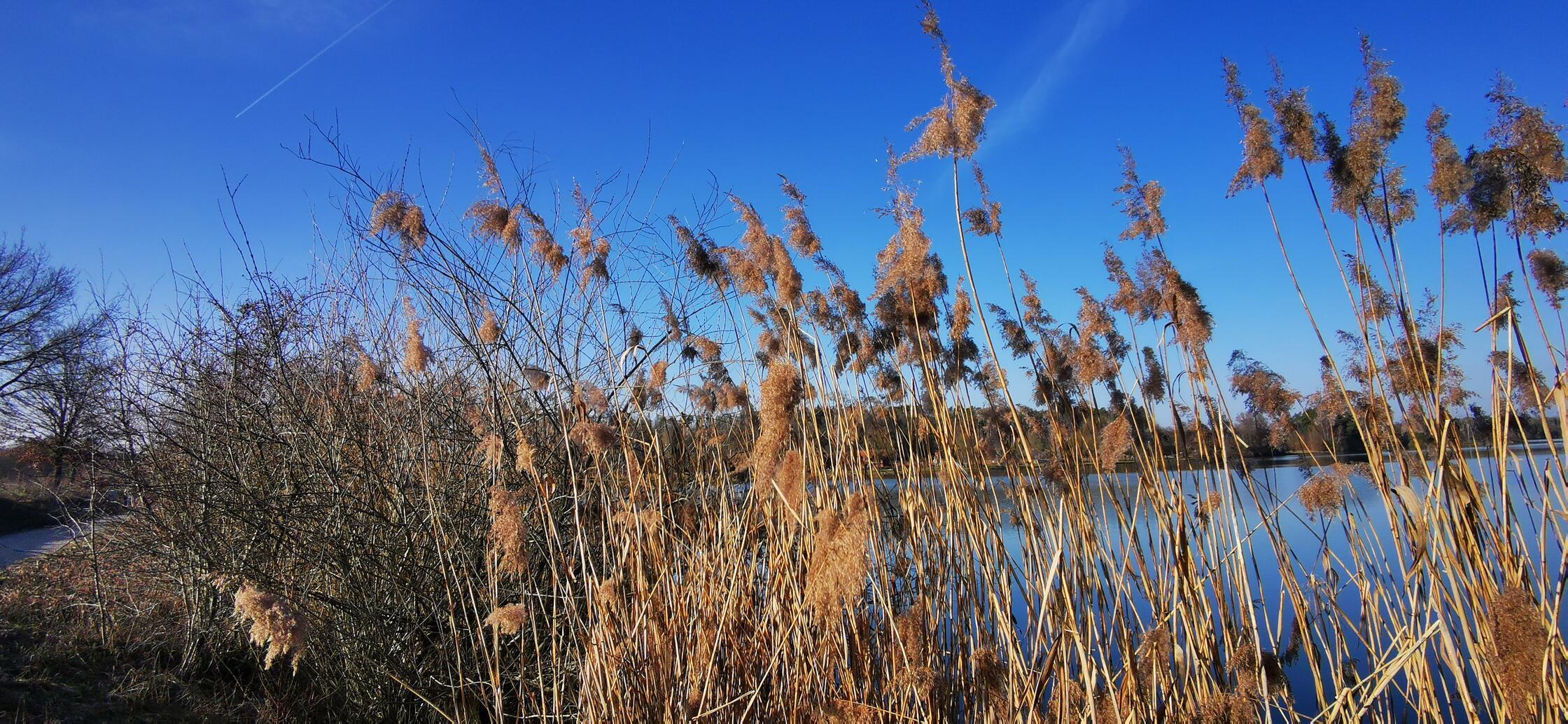 Bei einem Ausflug zum Rothsee hat unsere Leserin Andrea Weidner dieses Bild gemacht.