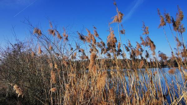 Bei einem Ausflug zum Rothsee hat unsere Leserin Andrea Weidner dieses Bild gemacht.