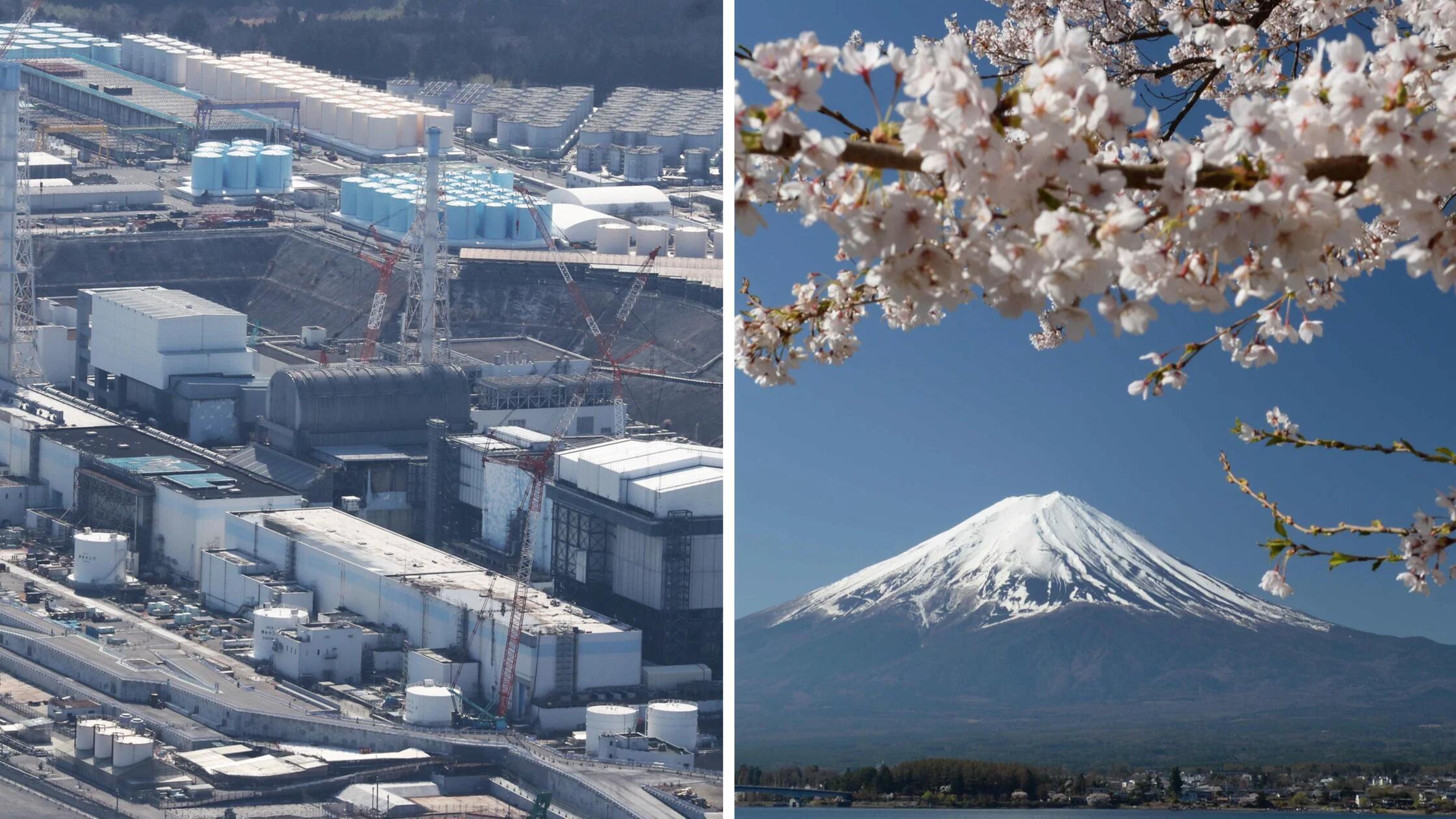 2026-03-17_14-24_collage