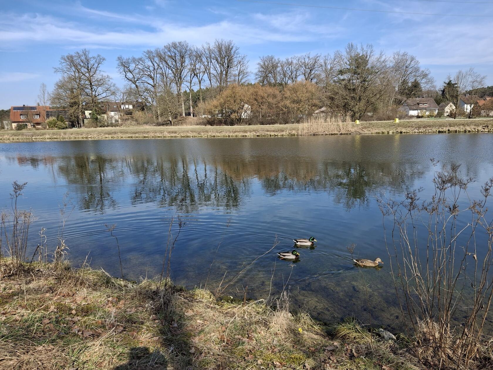 Am Kanal bei Mittelhembach.