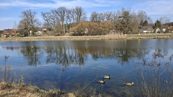 Am Kanal bei Mittelhembach.