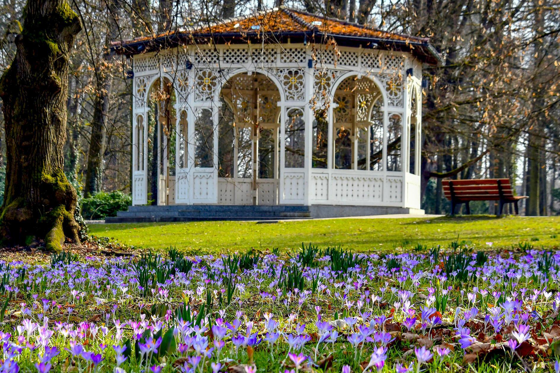 Der Frühling bringt Farbe, Wärme und eine fröhliche Stimmung in den Schwabacher Stadtpark – ein Ort, an dem man die Natur besonders gut genießen kann.