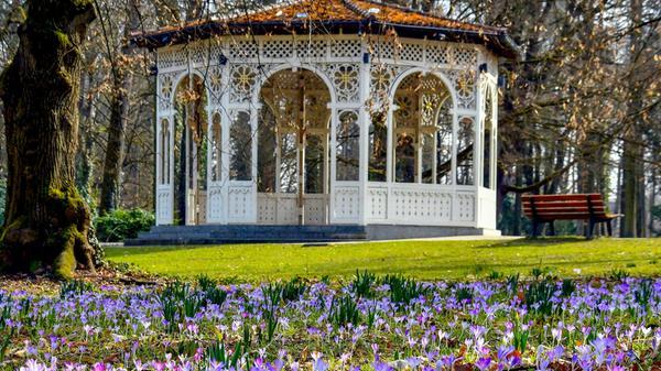 Der Frühling bringt Farbe, Wärme und eine fröhliche Stimmung in den Schwabacher Stadtpark – ein Ort, an dem man die Natur besonders gut genießen kann.