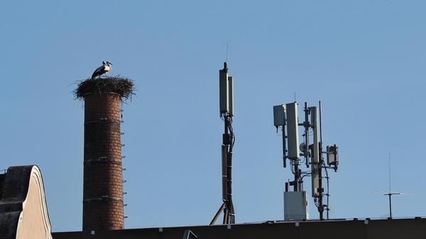 Dank optimalem Zugang zu modernen Kommunikationsmitteln kann das Storchenpaar auf dem Schlot der ehemaligen Leonischen Drahtwerke in Nürnberg-Mühlhof seinen Artgenossen stets den aktuellen Wetterbericht durchgeben.