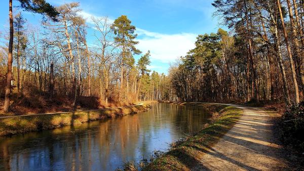 Am alten Kanal zwischen Wendelstein und Röthenbach.