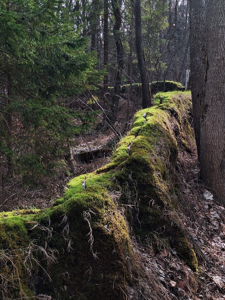 Die Steinerne Rinne bei Rohrbach ist immer sehenswert.