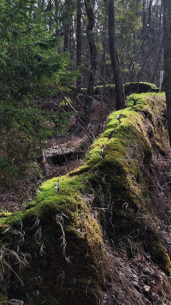 Die Steinerne Rinne bei Rohrbach ist immer sehenswert.