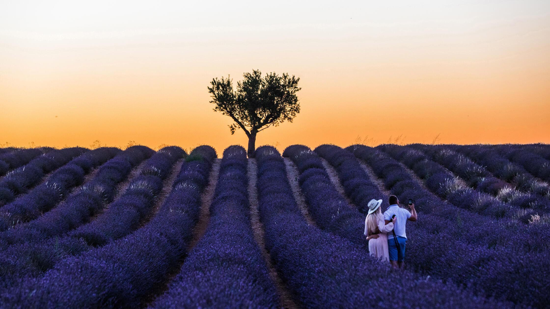 Valensole, Frankreich