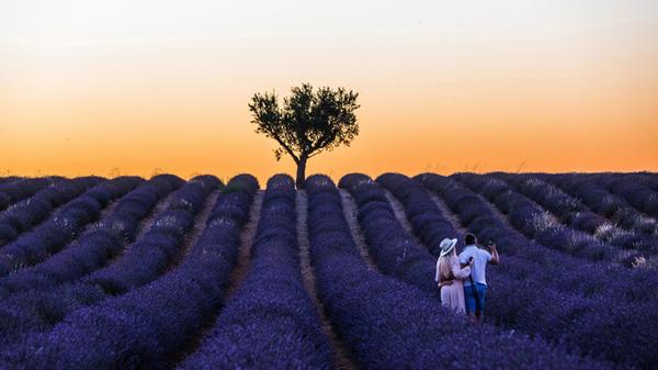 Valensole, Frankreich