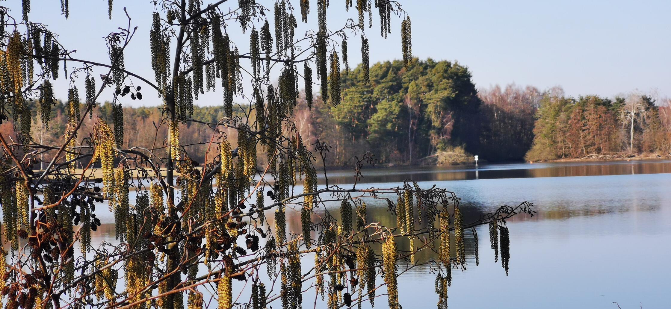 Den Frühling am Rothsee hat unsere Leserin Andrea Weidner eingefangen.