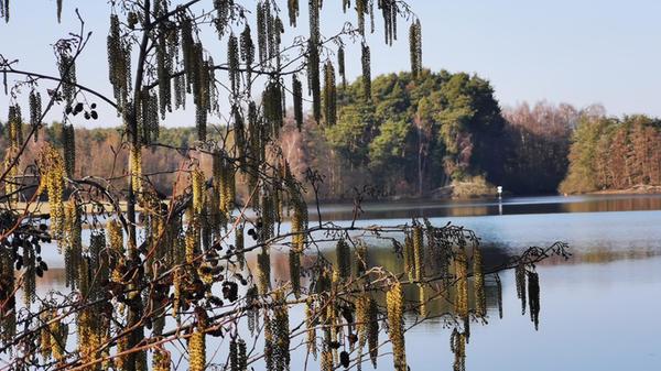 Den Frühling am Rothsee hat unsere Leserin Andrea Weidner eingefangen.