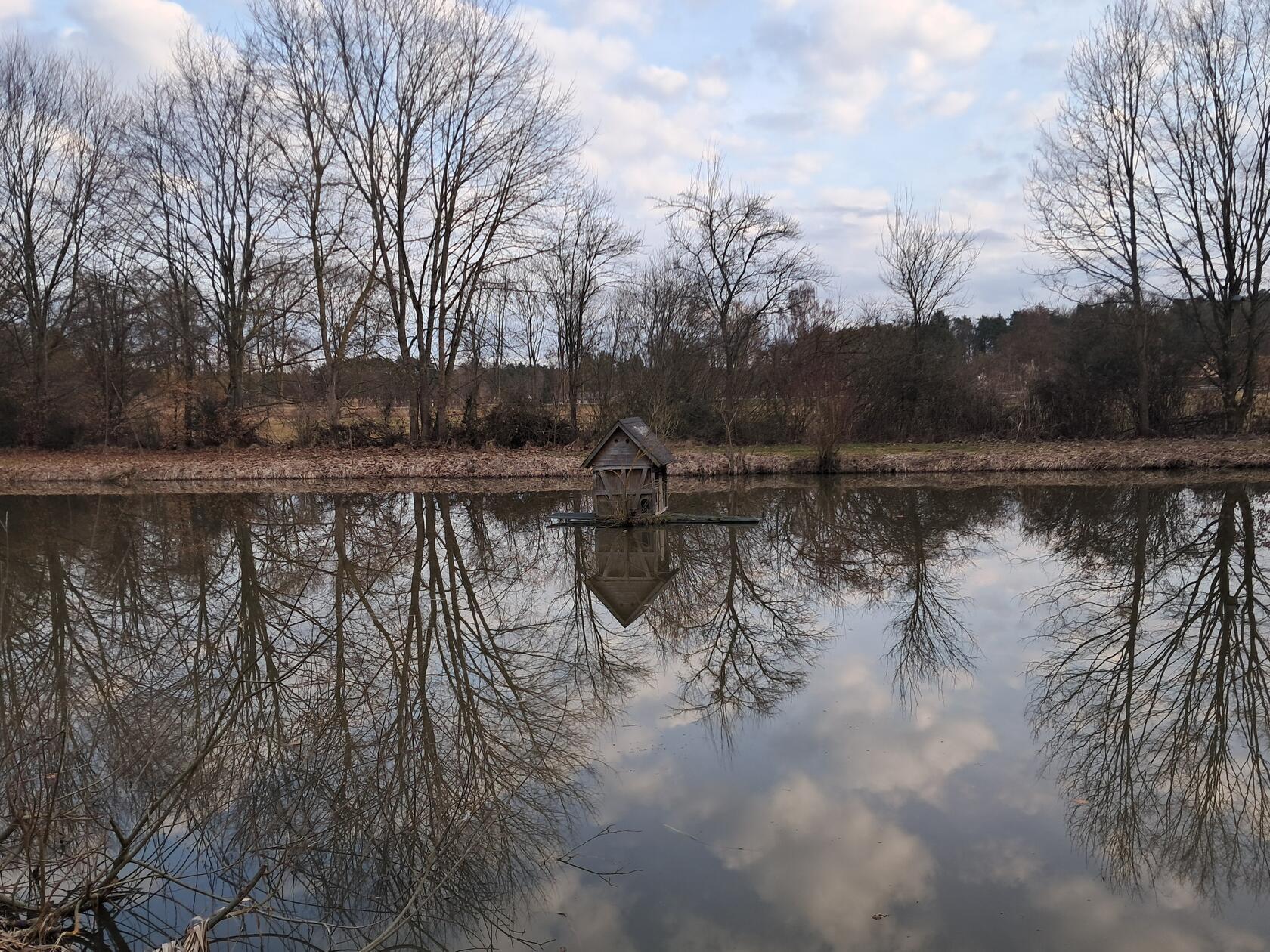 Am Mahlweiher hat unsere Leserin Rosy Treu dieses Foto gemacht.