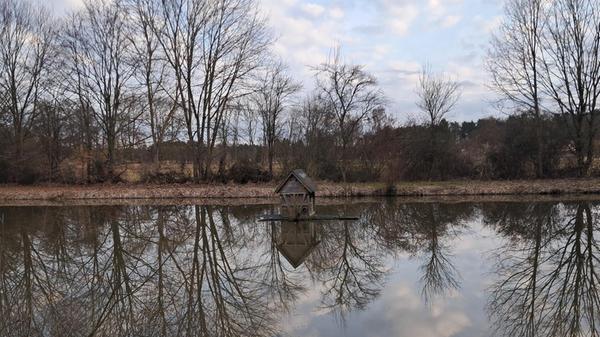 Am Mahlweiher hat unsere Leserin Rosy Treu dieses Foto gemacht.