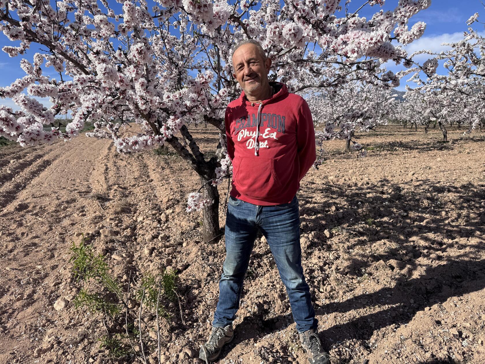 Am Fuß der Sierra Espuña bewirtschaftet José Jiménez eine Bio-Mandelplantage. Die Blützezeit findet er auch nach Jahrzehnten immer noch einzigartig.