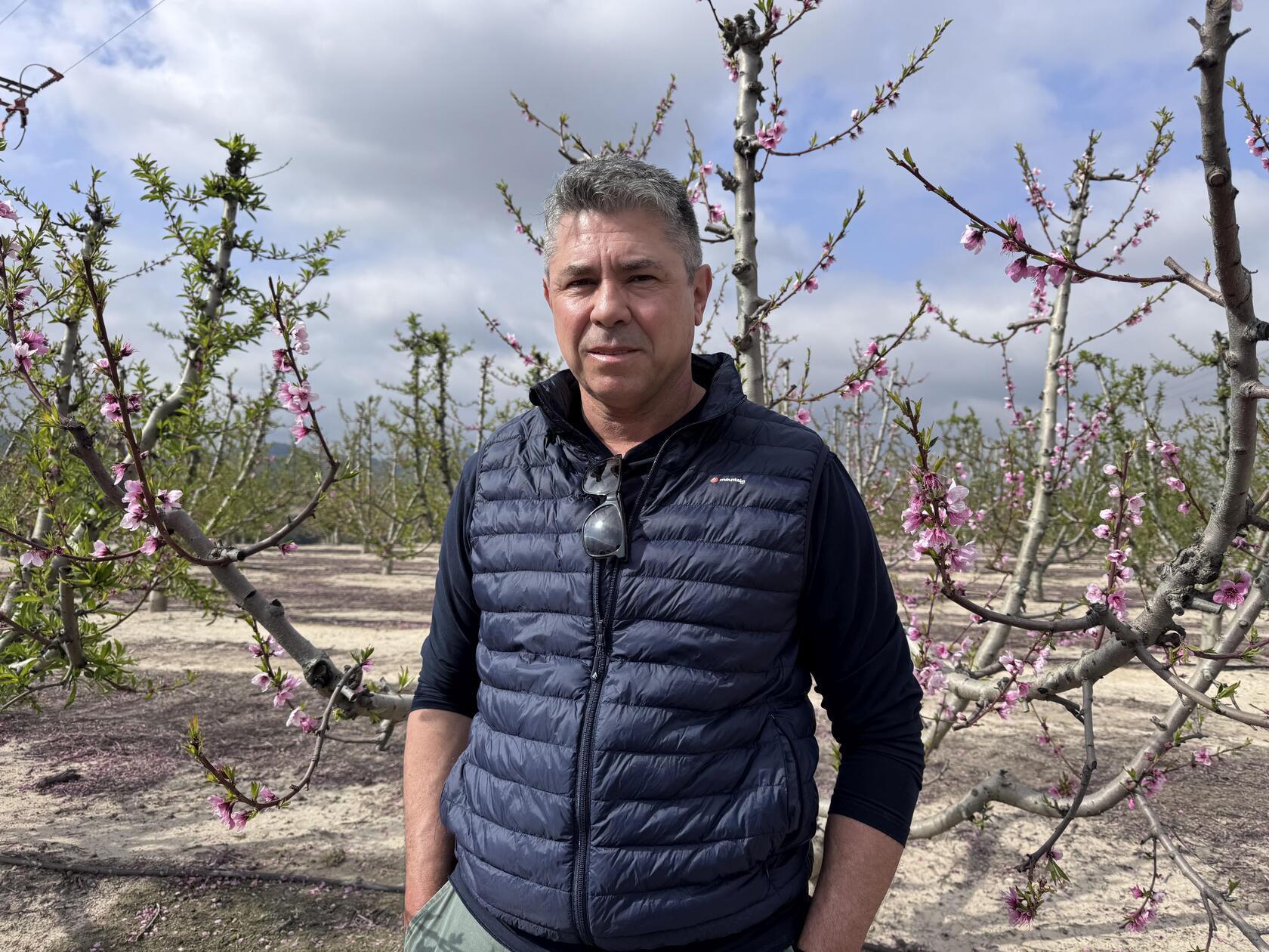 José Antonio Martínez, 55, bewirtschaftet eine große Plantage in der Nähe von Cieza.