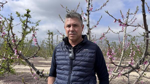 José Antonio Martínez, 55, bewirtschaftet eine große Plantage in der Nähe von Cieza.