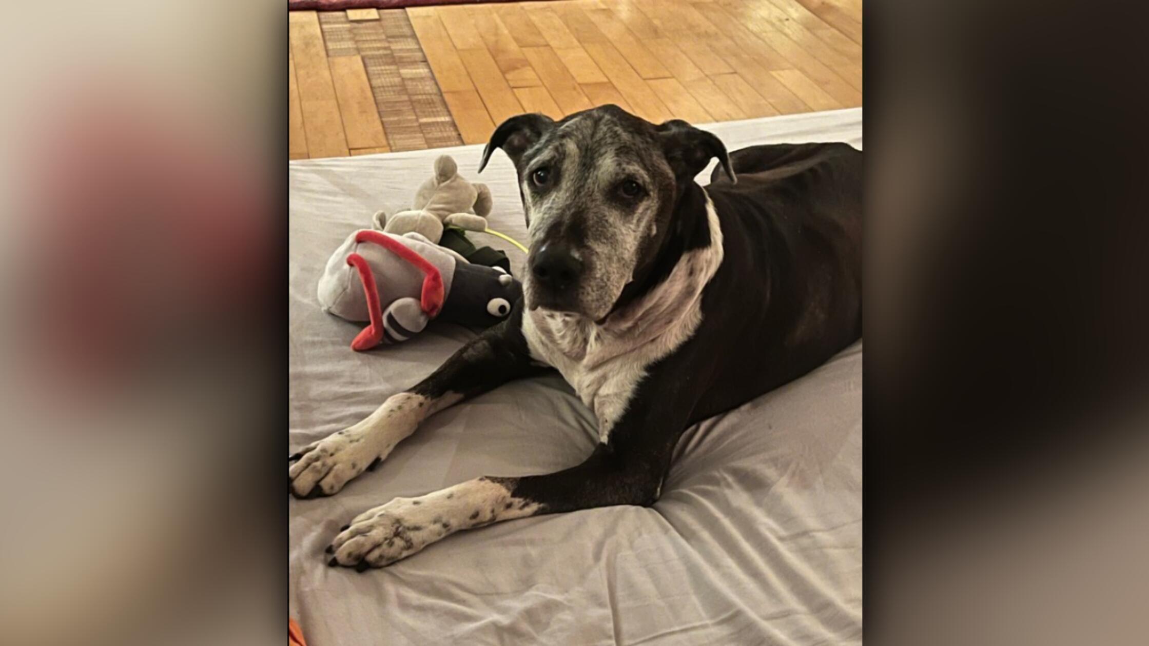 2026-03-19_10-14_bild_erweitern