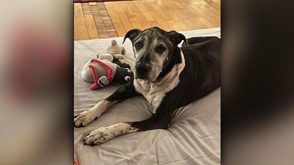 2026-03-19_10-14_bild_erweitern