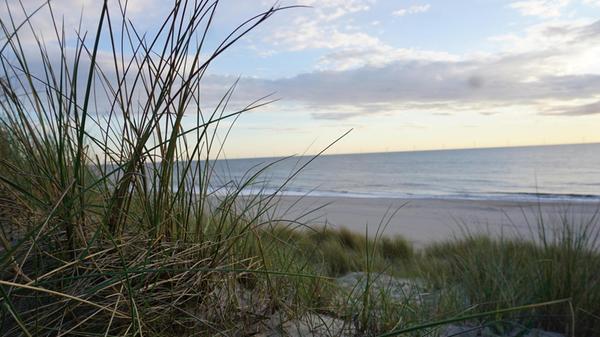 Oder friedlich im Abendlicht liegen.