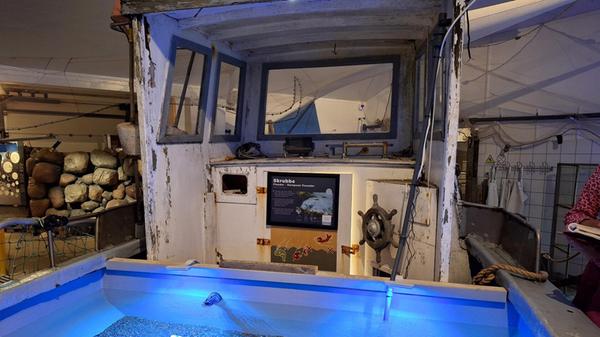 Altes kreativ wiederverwendet: Im Museum schwimmen die Fische nicht nur in einem ausrangierten Fischkutter. Sämtliche Becken wurden aus alten Materialien gebaut.