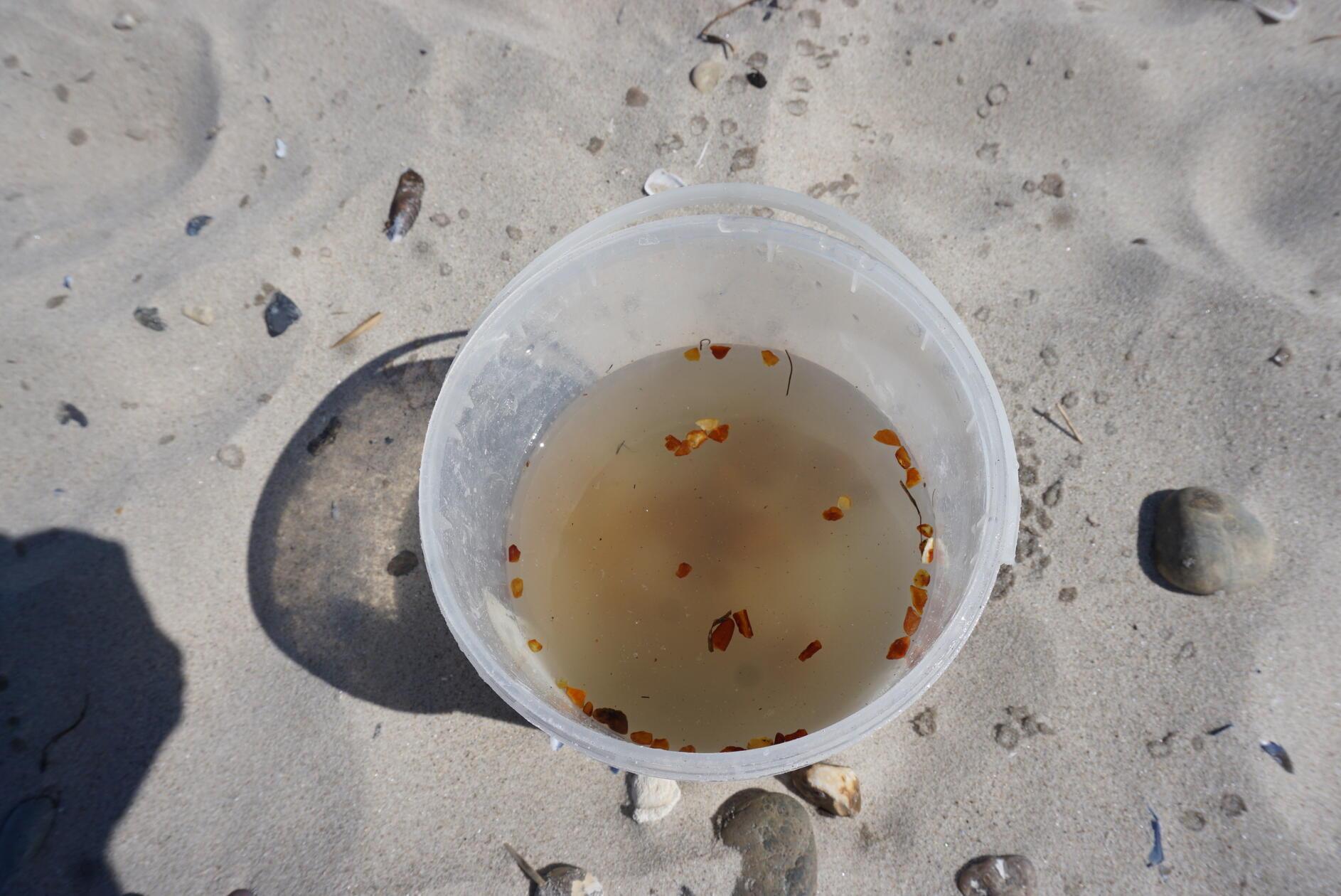 Salztest: Was im Wasser mit ca. 20 Prozent Salzgehalt oben schwimmt, ist Bernstein. Steine sinken.