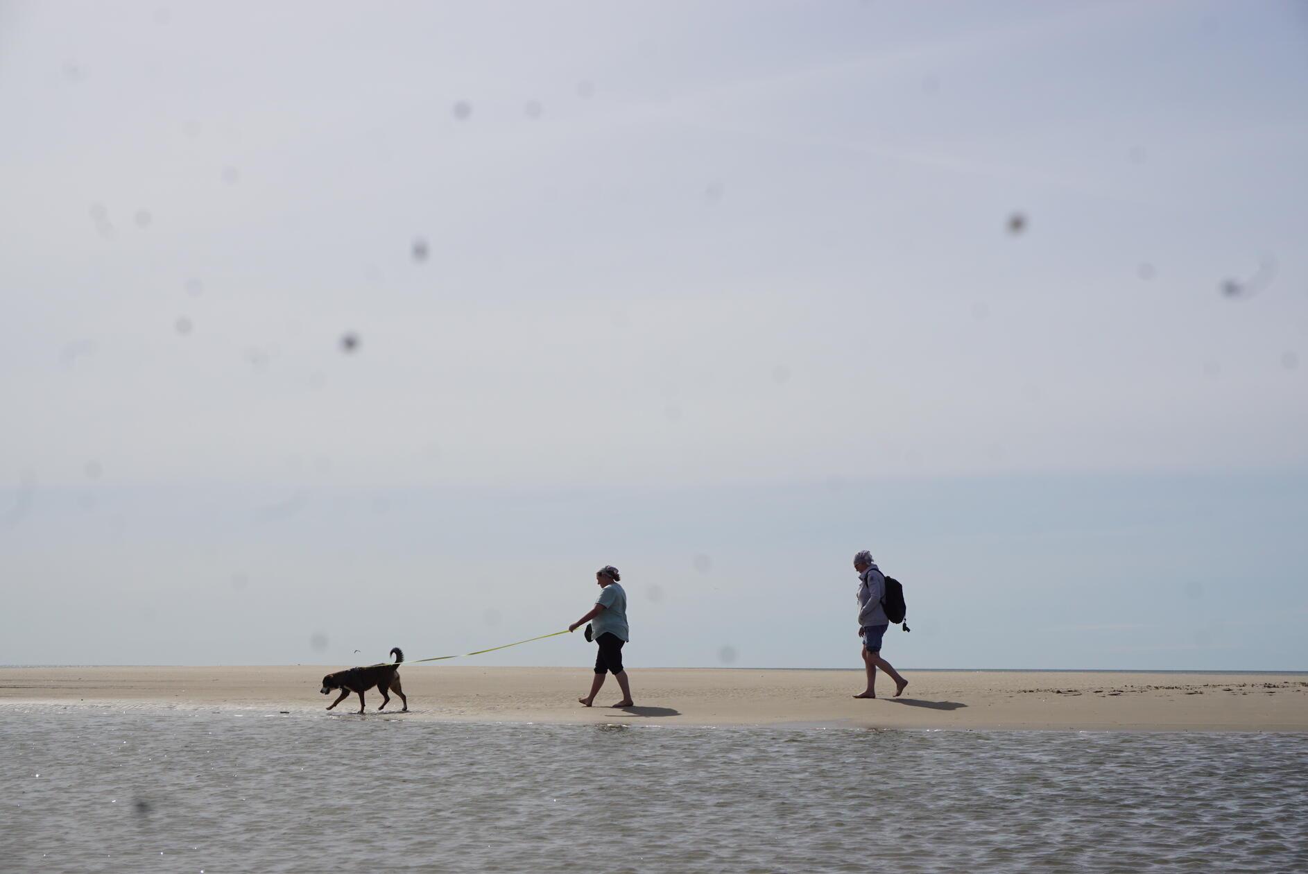 Die dänische Nordseeküste lädt zu ausgedehnten Spaziergängen ein.