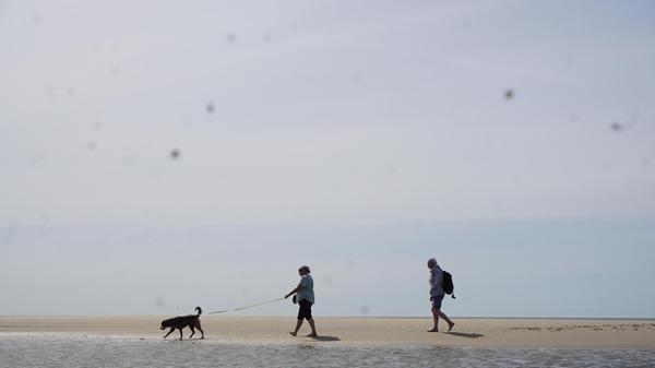 Die dänische Nordseeküste lädt zu ausgedehnten Spaziergängen ein.