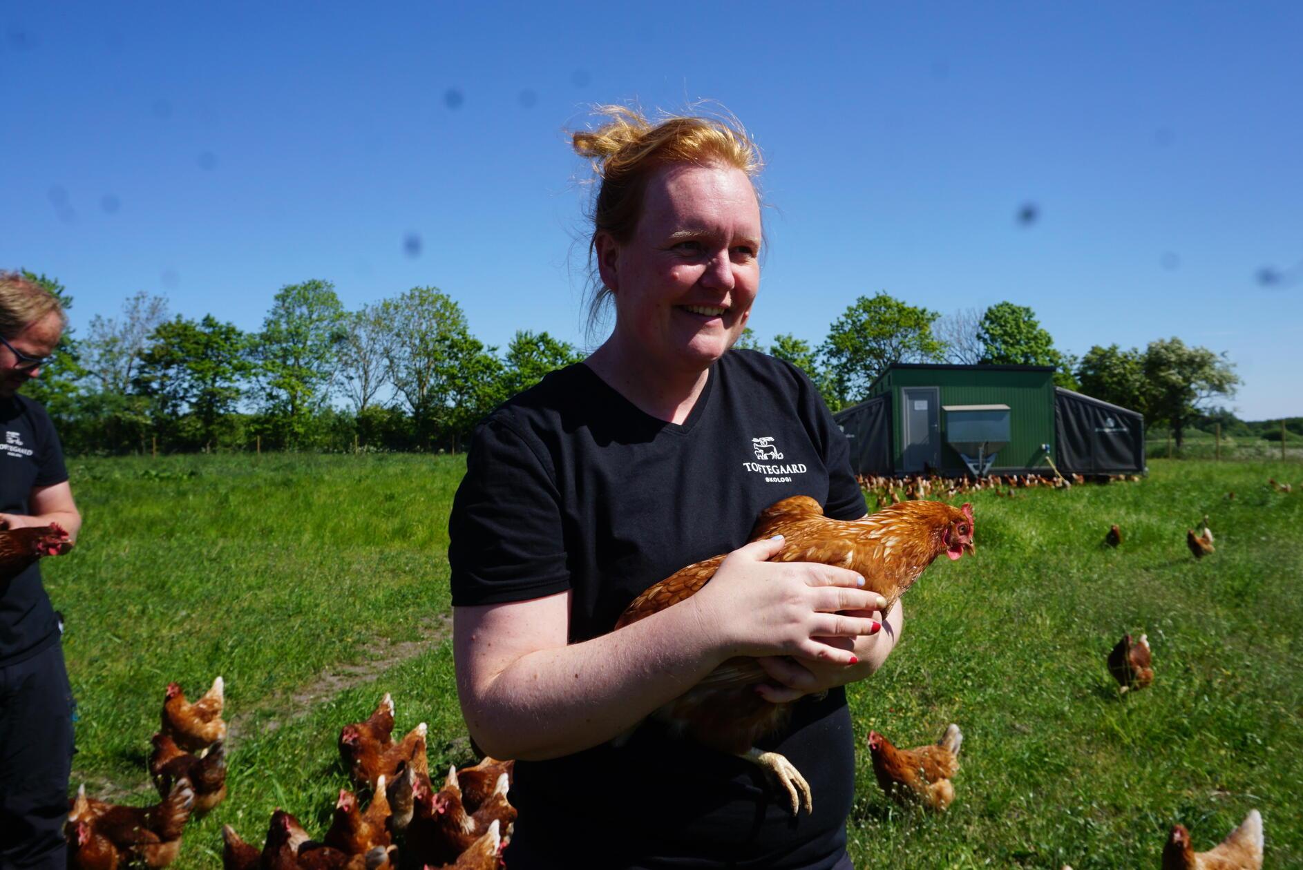 Landwirtin Ditte Kjægaard og Mourittsen hält dort auch 600 Hühner, deren Eier sie verkauft.