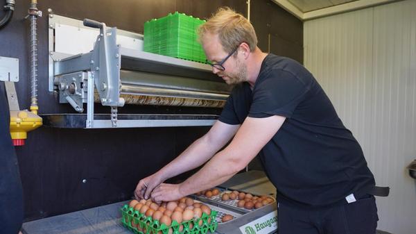 Ihr Mann Robert Kjægaard og Mourittsen zeigt, wie die Eier vollautomatisch aus den Nestern geholt und nur noch verpackt werden müssen.