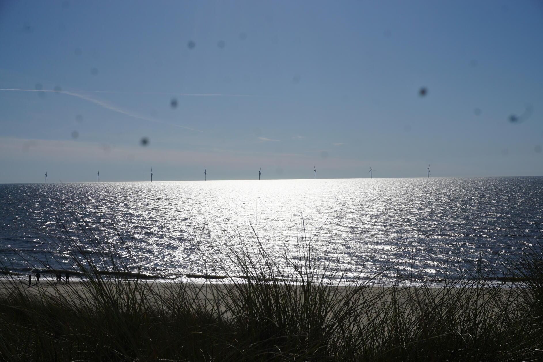 Die Windverhältnisse sind ideal für Windkraftparks in der Nordsee.