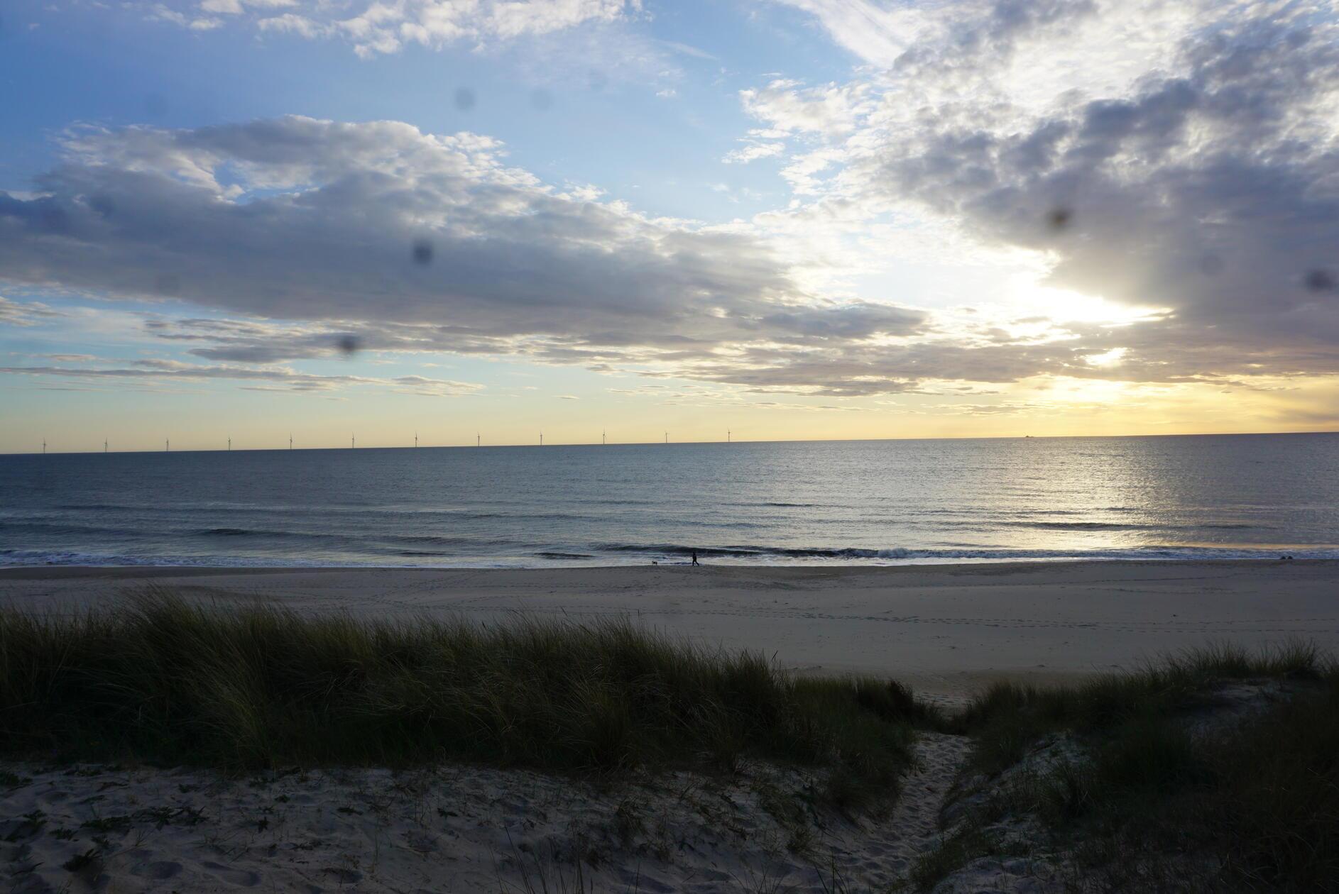 Die meisten Ferienhäusern liegen in der Heidelandschaft. Von dort ist es nur ein kurzer Fußweg über die Dünen zum Meer.