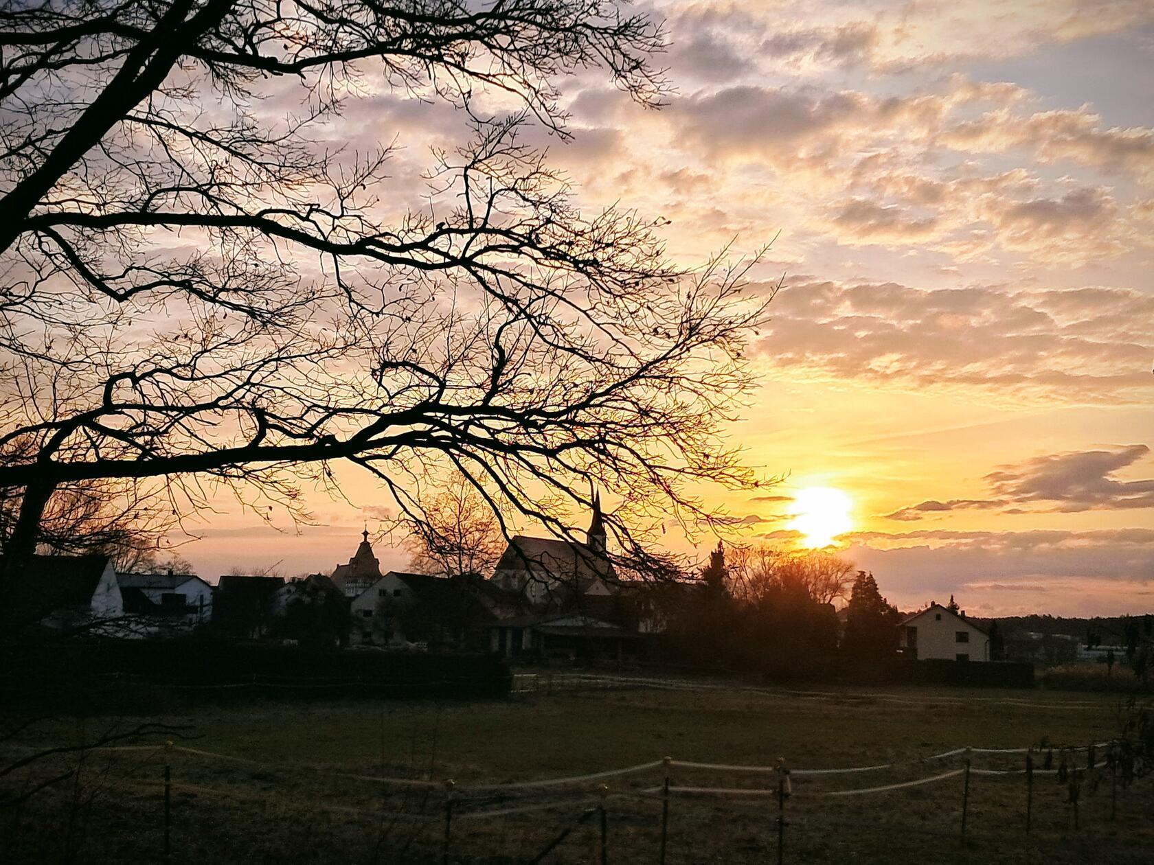 Am Mahlweiher bei Seligenporten entstand dieses Foto, fotografiert von unserer Leserin Rosy Treu.