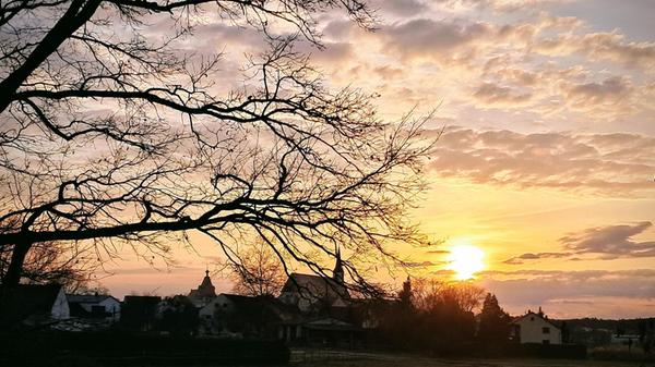 Am Mahlweiher bei Seligenporten entstand dieses Foto, fotografiert von unserer Leserin Rosy Treu.