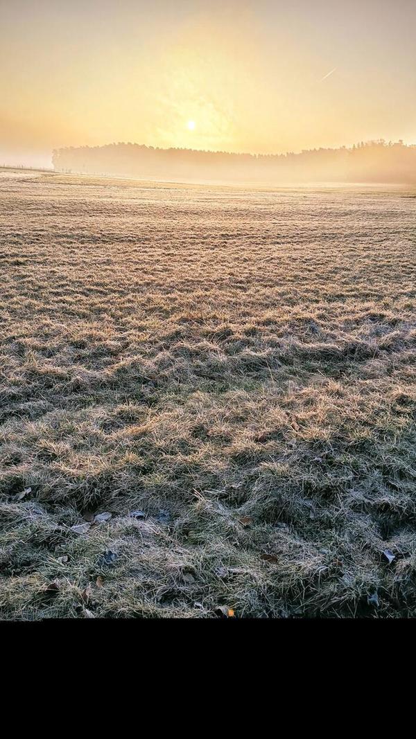 Morgenstimmung beim Gassi-gehen in Belmbrach.