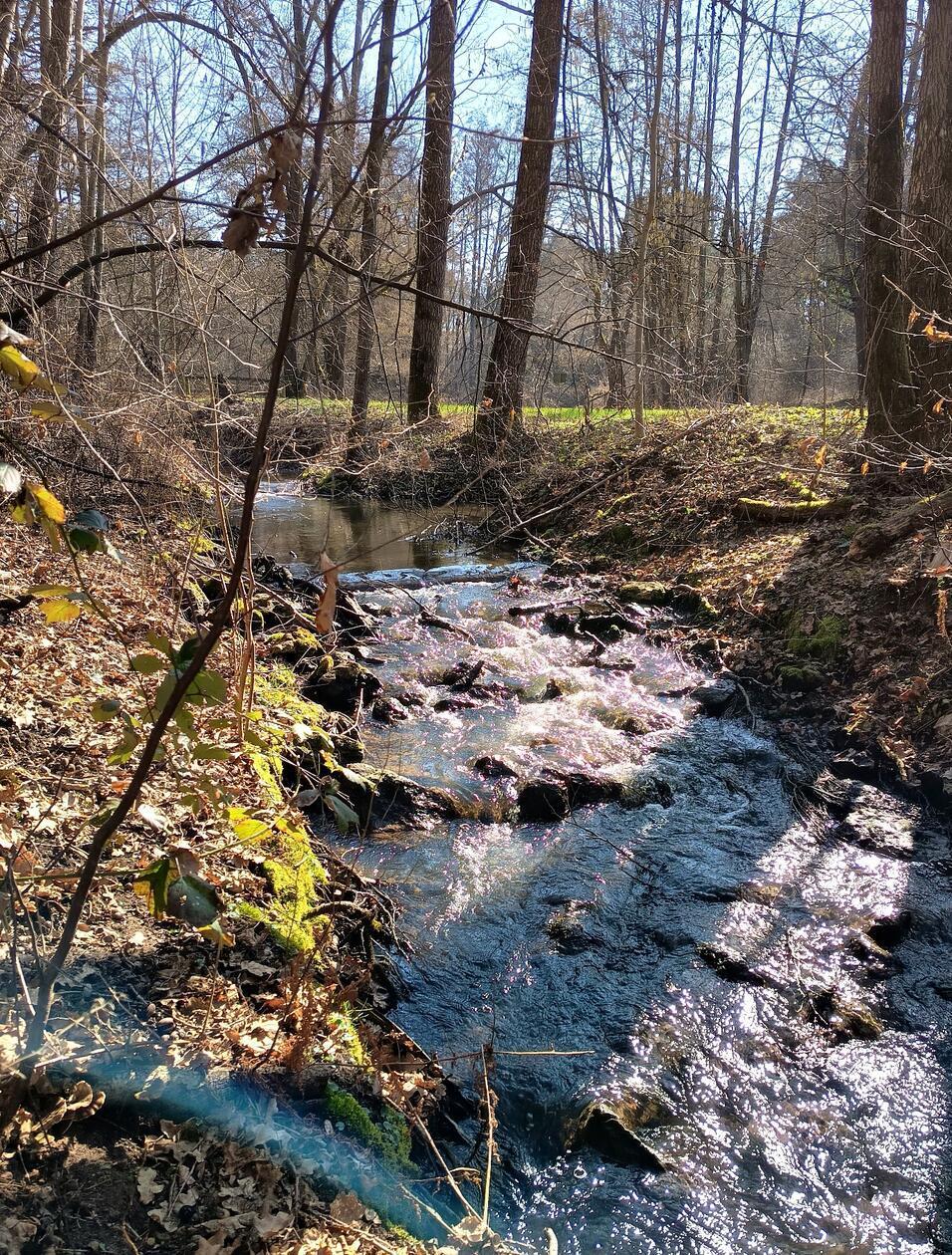 ... vom Eise befreit sind Strom und Bäche...Am Eisenhammer.
