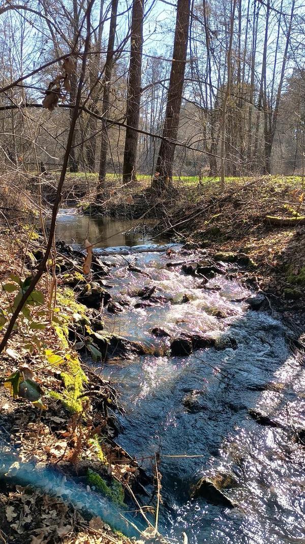 ... vom Eise befreit sind Strom und Bäche...Am Eisenhammer.