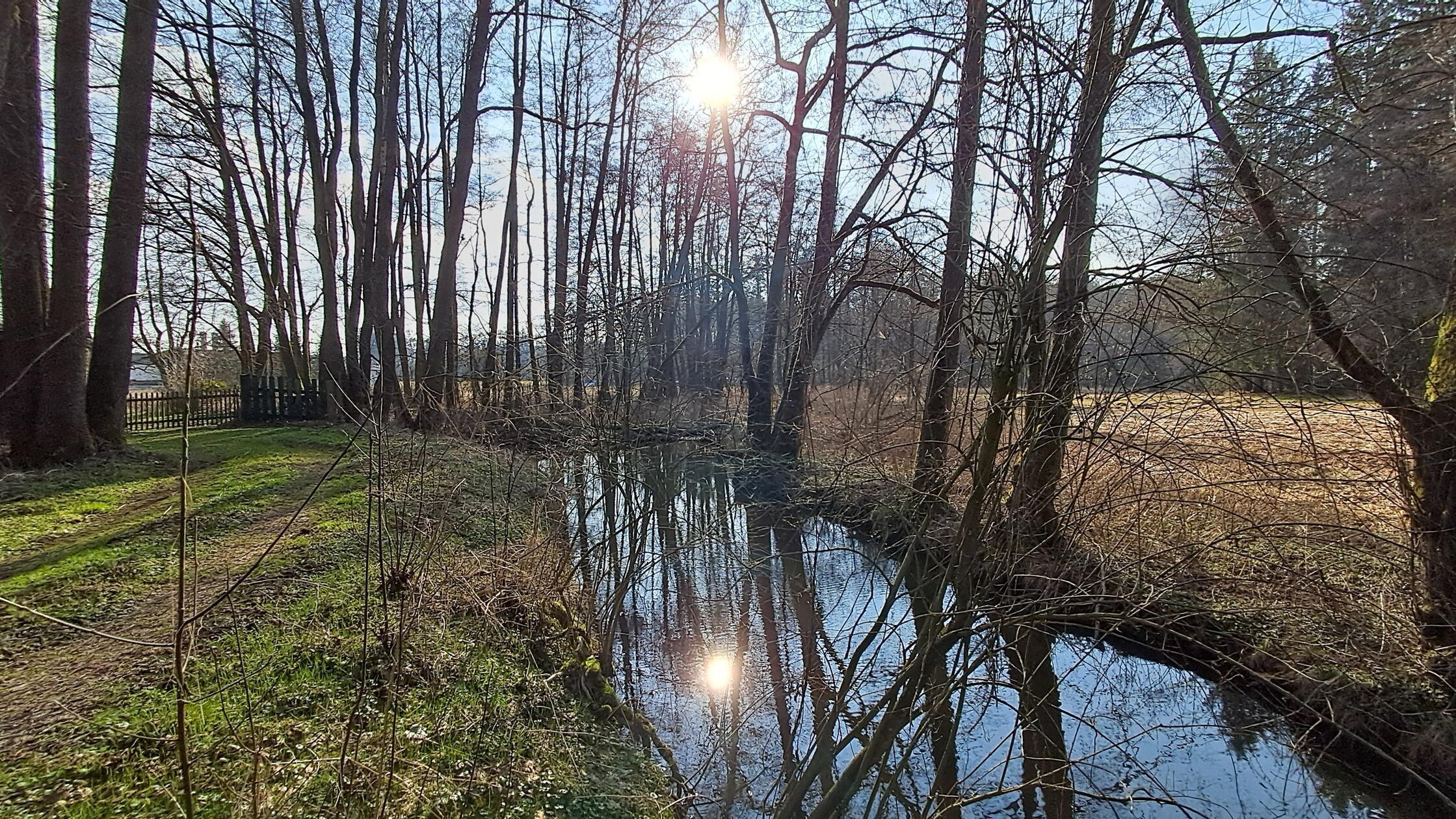 Dieses "Spiegelbild" entstand in der Nähe von Sengenthal, fotografiert von unserem Leser Kurt Volk.