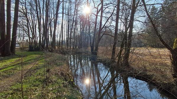 Dieses "Spiegelbild" entstand in der Nähe von Sengenthal, fotografiert von unserem Leser Kurt Volk.
