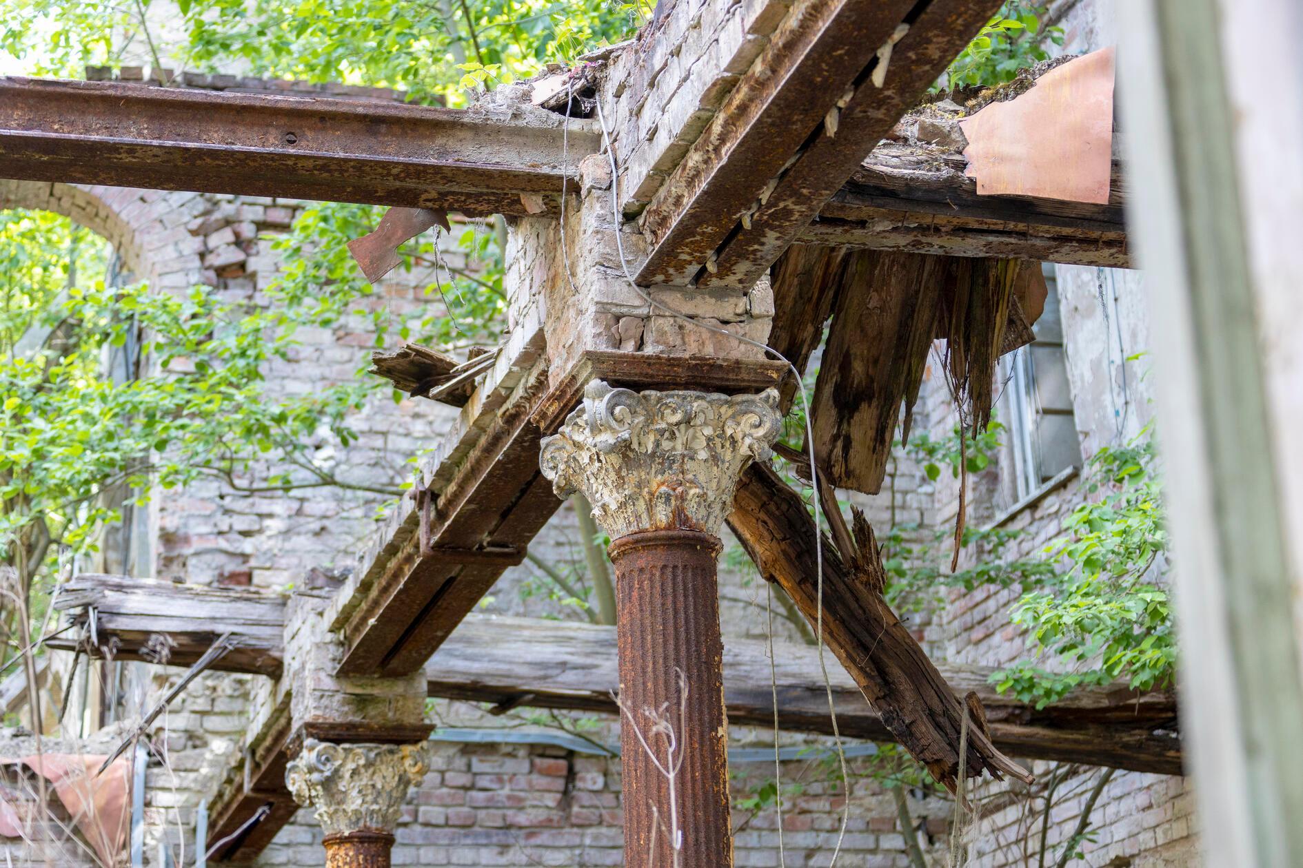 Einst war Schloss Dwasieden ein zweigeschossiges, quadratisches Gebäude mit Säulengängen, zwei Aussichtstürmen sowie einer exquisiten Innenausstattung. Teile wurden nach dem Zweiten Weltkrieg gesprengt. Sogenannte Lost Places, wie das Schloss Dwasieden, sind bei Entdeckern beliebt, doch Vorsicht ist geboten. Die verfallenen Orte bergen mitunter große Sicherheitsgefahren und wenn die Gebäude im Privatbesitz sind, kann das Betreten auch ernsthafte rechtliche Konsequenzen haben. Durch das Schloss Dwasieden werden aber regelmäßig Führungen angeboten. Hier können Entdecker auf ihre Kosten kommen.